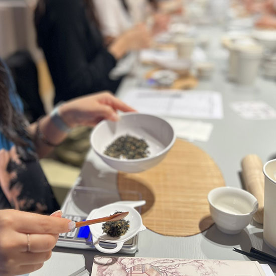 ���Ϸ� ƼŬ���� ��û �̹�������2